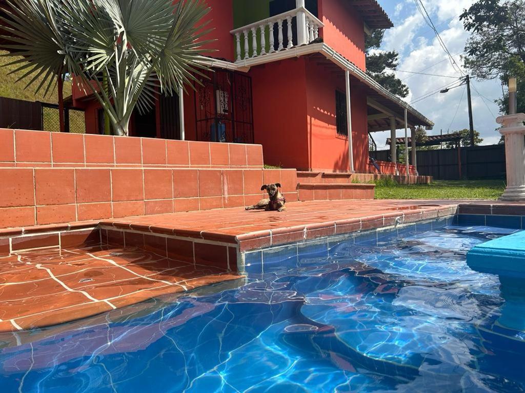 Finca Hotel La Bonita Guatapé エクステリア 写真