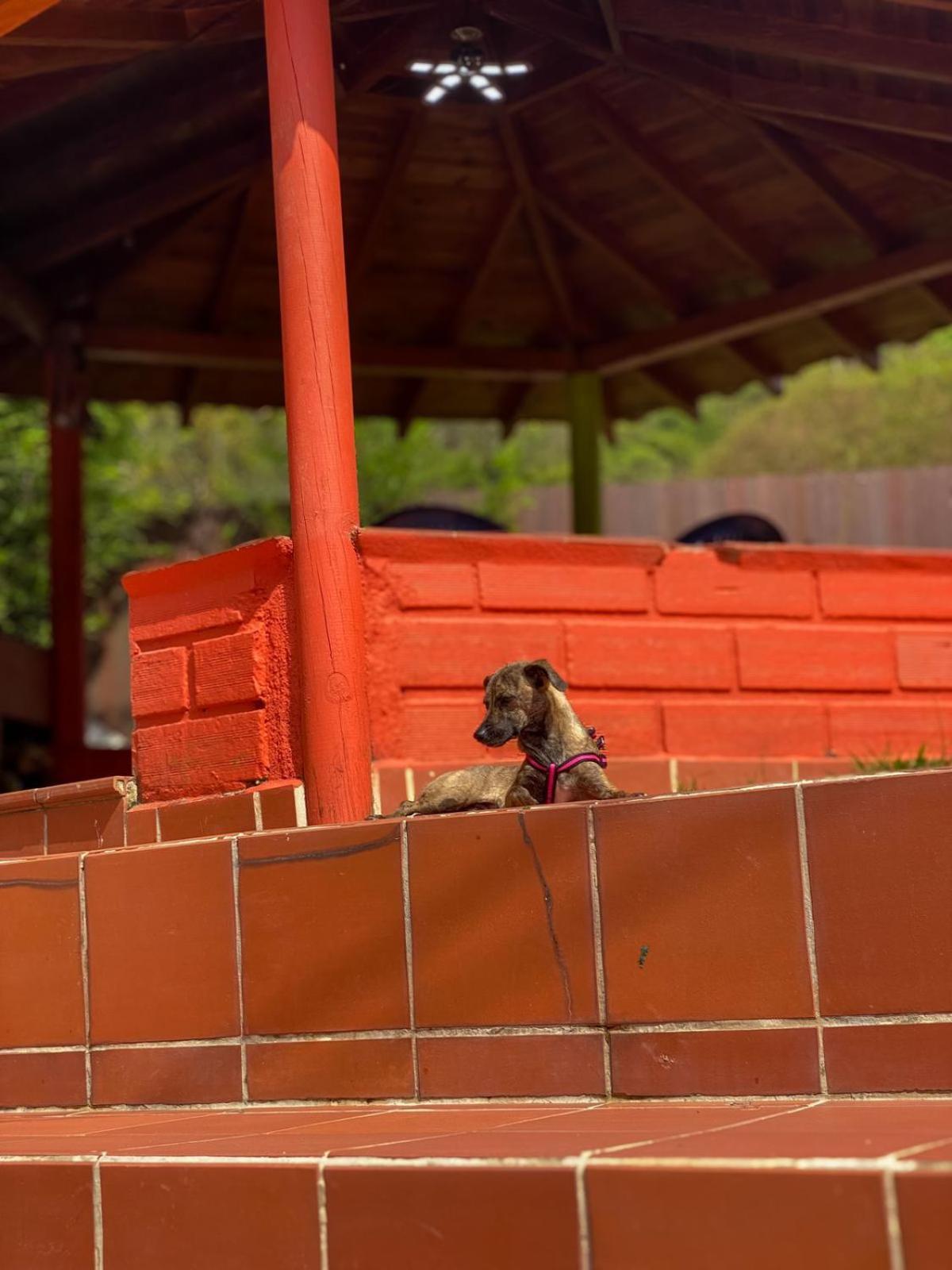 Finca Hotel La Bonita Guatapé エクステリア 写真